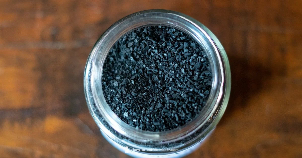 Charcoal Filter Guide - BrewGuide Pro