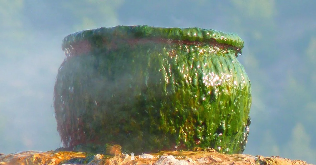 Classic Italian Brew - BrewGuide Pro