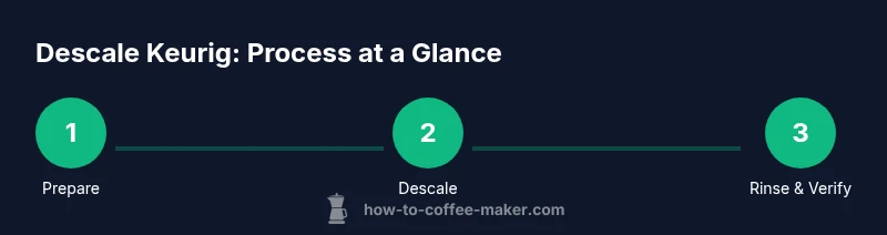 infographic showing three steps: prepare, descale, rinse & verify