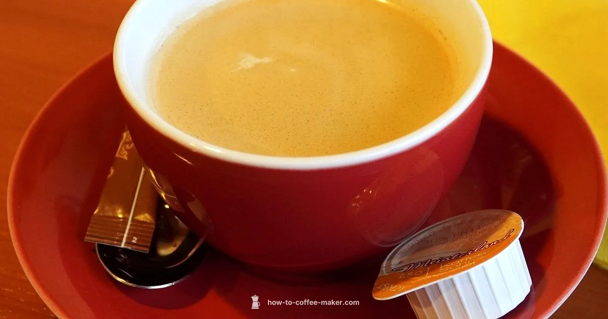 Coffee Maker vs Moka Pot - BrewGuide Pro