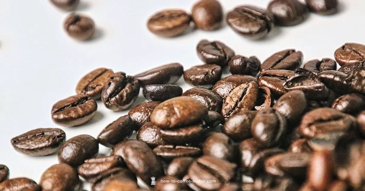 MR Coffee Parts Guide - BrewGuide Pro