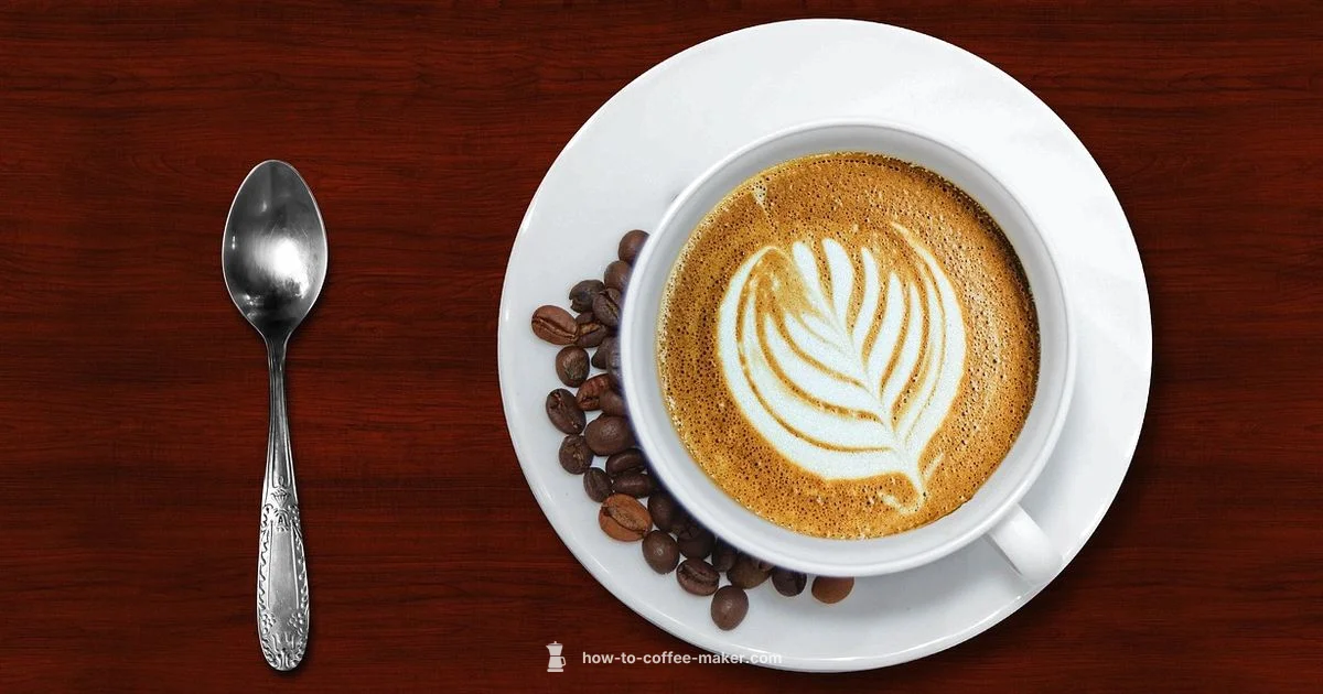 Solis Barista Perfetta - BrewGuide Pro