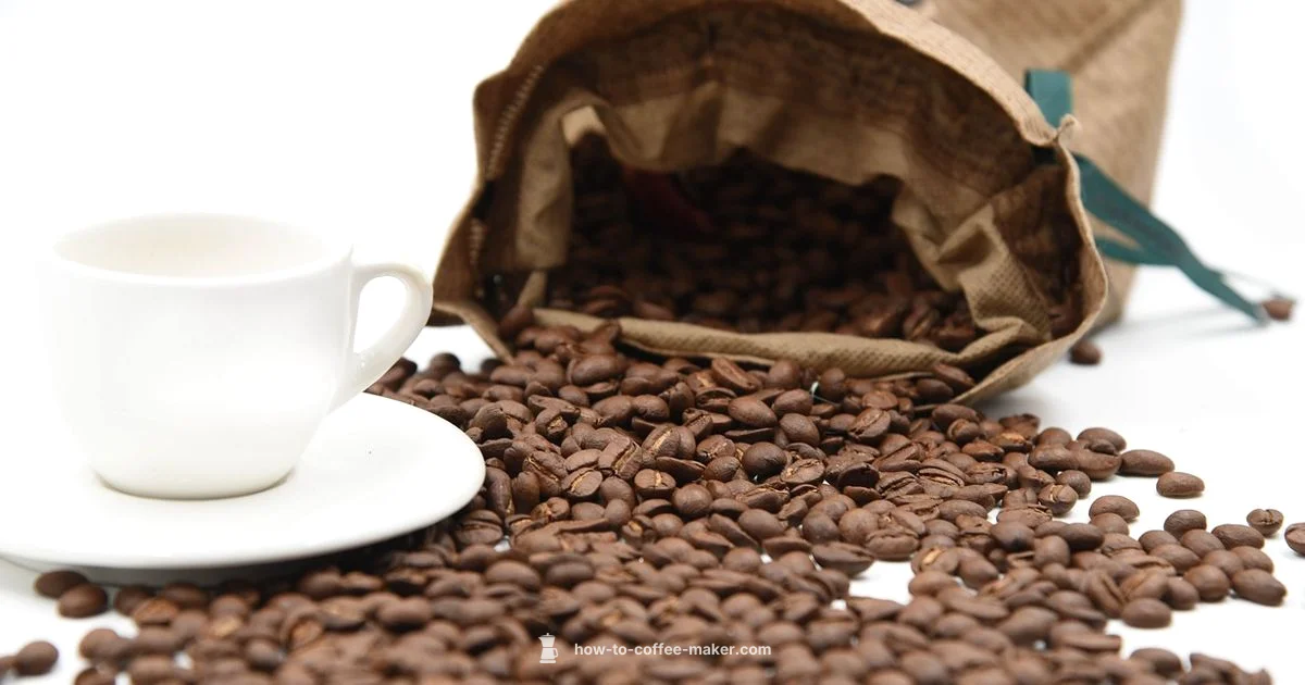 Bean to Cup Guide - BrewGuide Pro