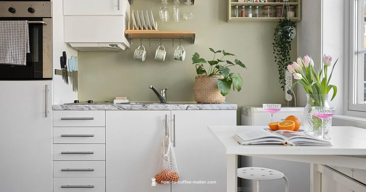 Breville Espresso Review - BrewGuide Pro