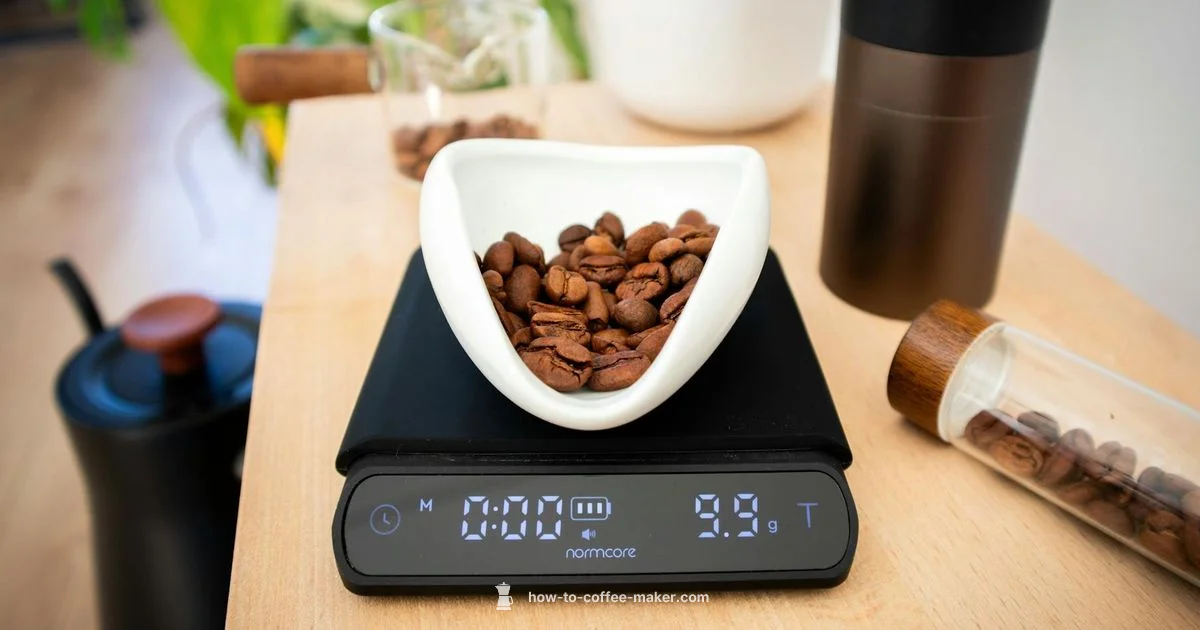 Duo Brew Guide - BrewGuide Pro