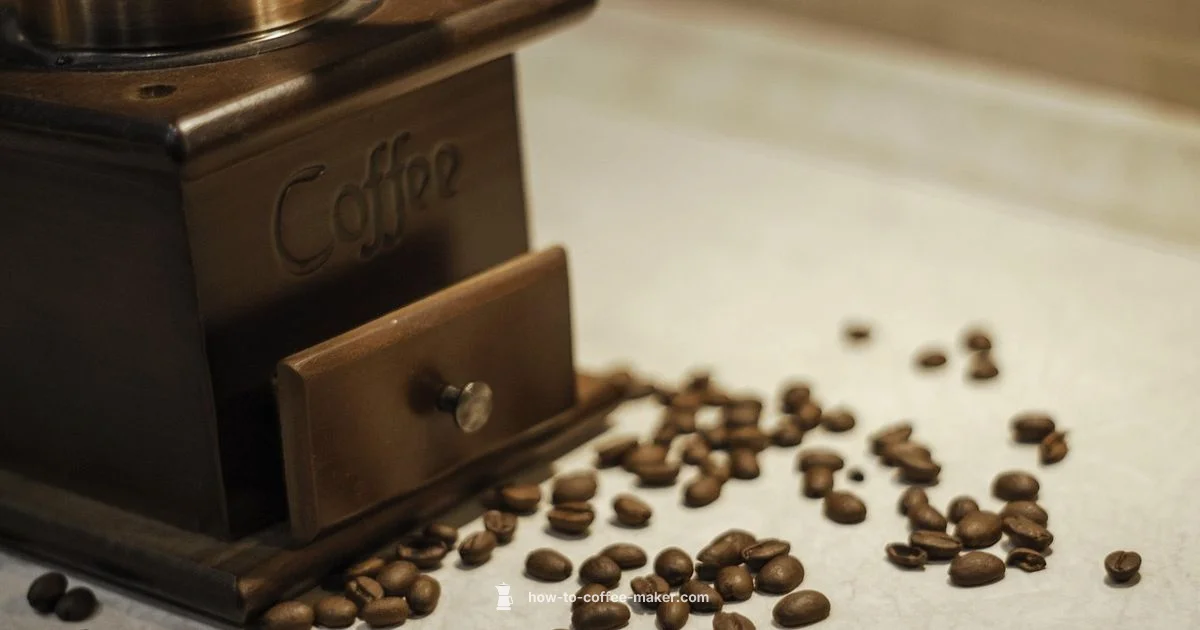 Beans to Brew Guide - BrewGuide Pro