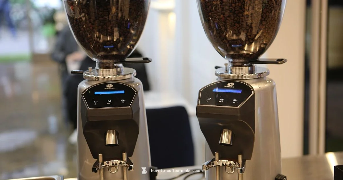 Descale Basics - BrewGuide Pro