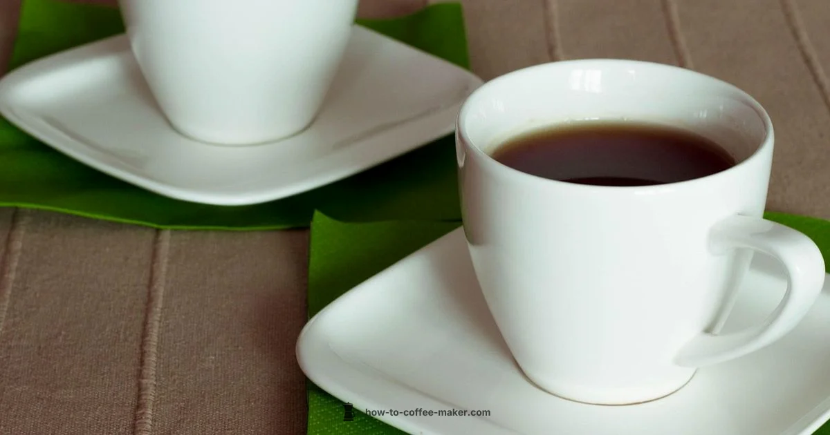 Compact Two Cup Brewer - BrewGuide Pro