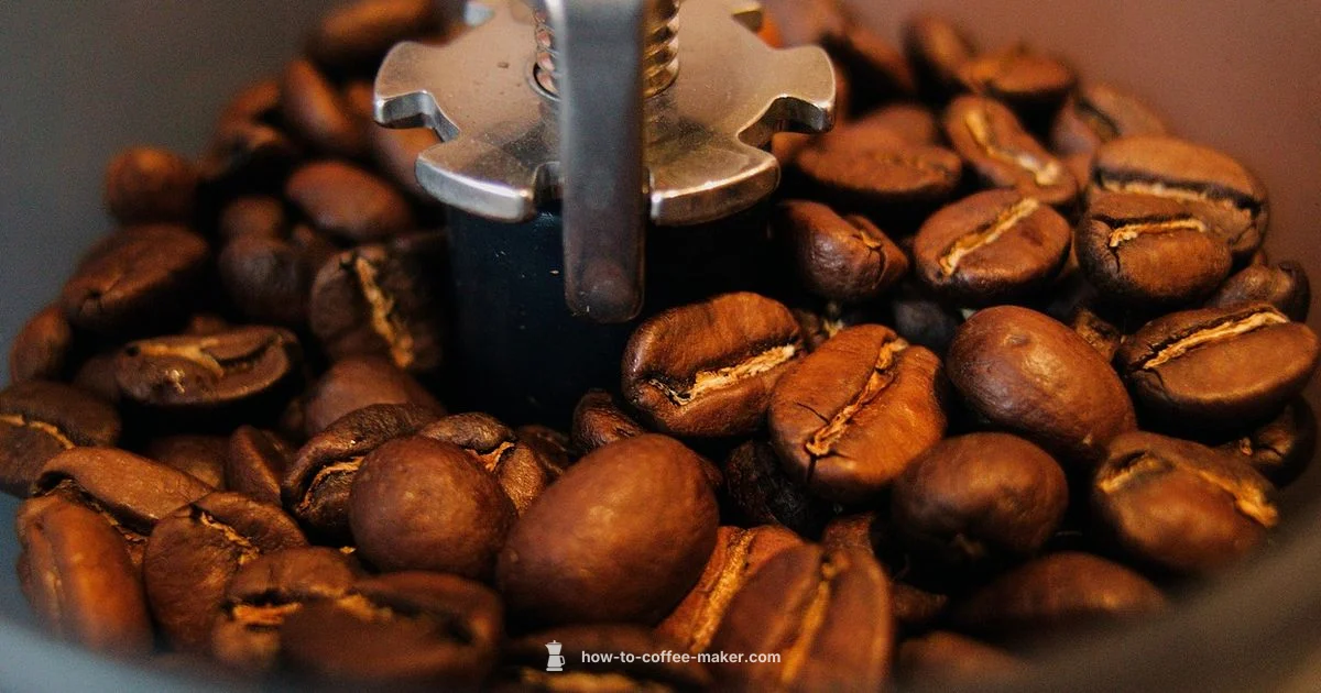 Best Coffee Duo - BrewGuide Pro