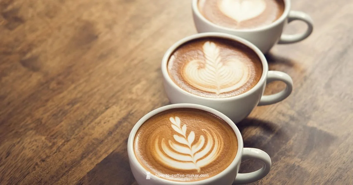 5-Cup Brew Guide - BrewGuide Pro