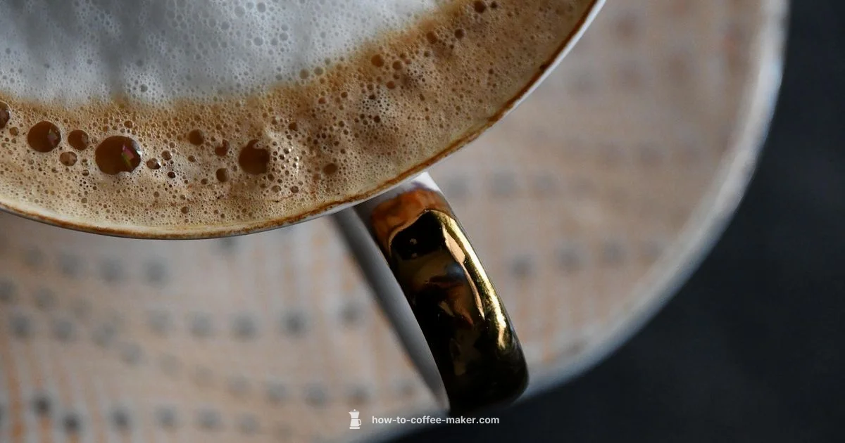 Descale Breville Coffee Maker - BrewGuide Pro