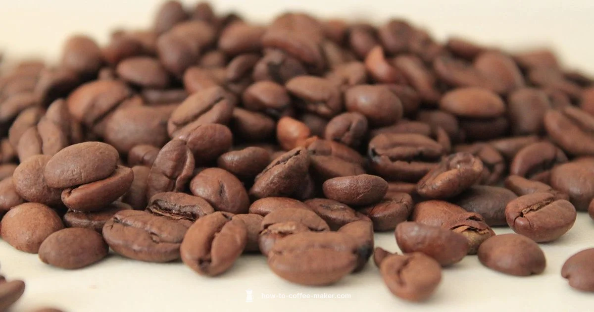 Fresh One Cup Brew - BrewGuide Pro