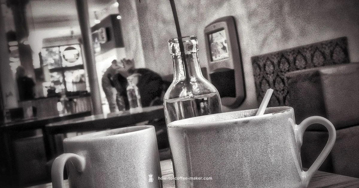 Walmart 4-Cup Guide - BrewGuide Pro