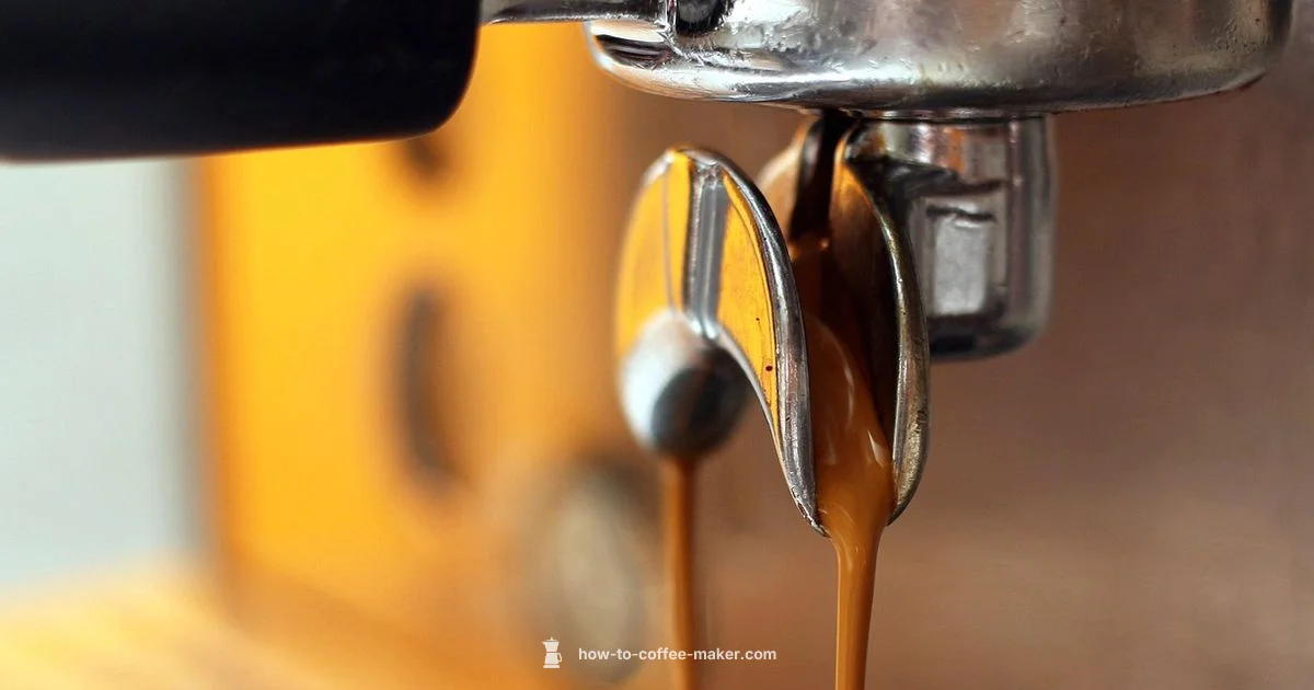 Breville Picks 2026 - BrewGuide Pro