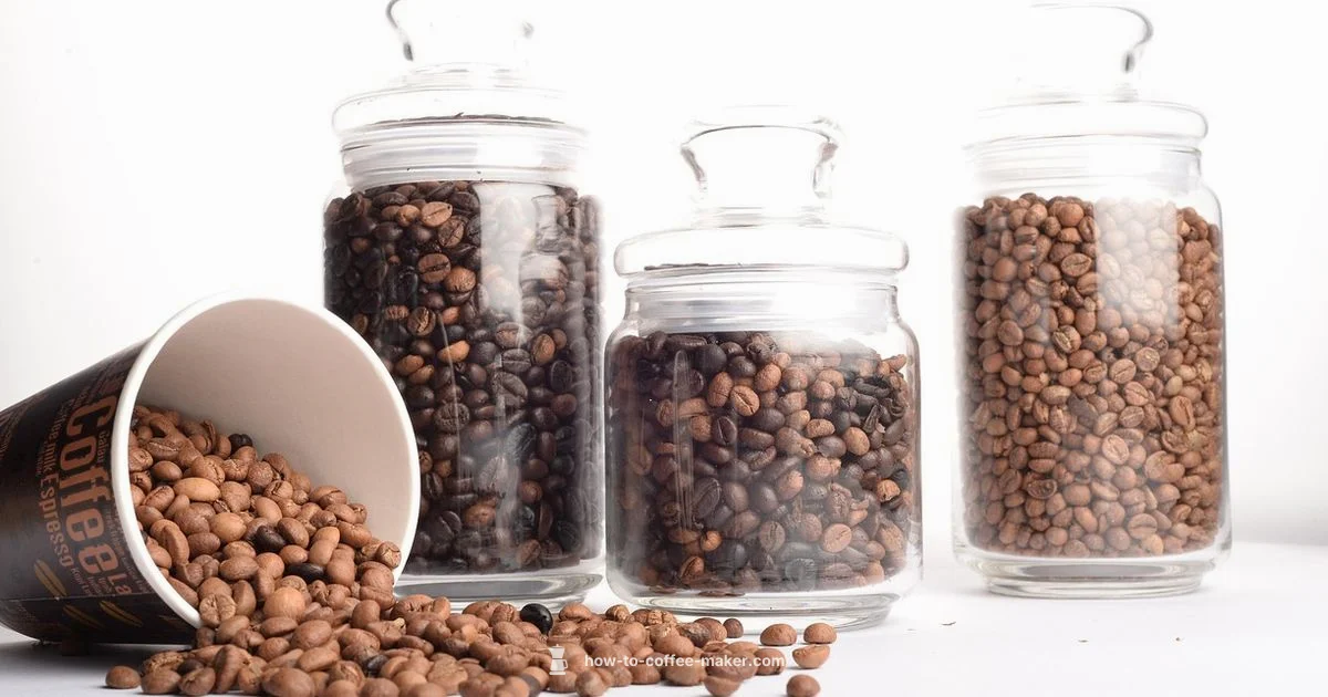 Brew-Ready Beans-to-Cup - BrewGuide Pro