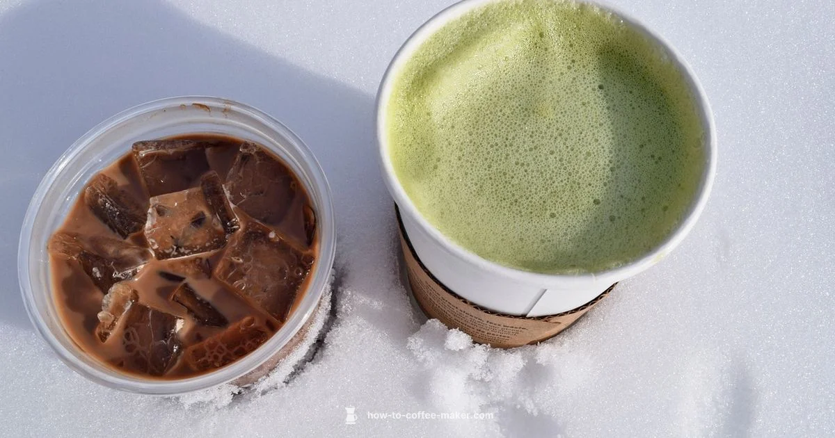 Iced & Hot Duo - BrewGuide Pro