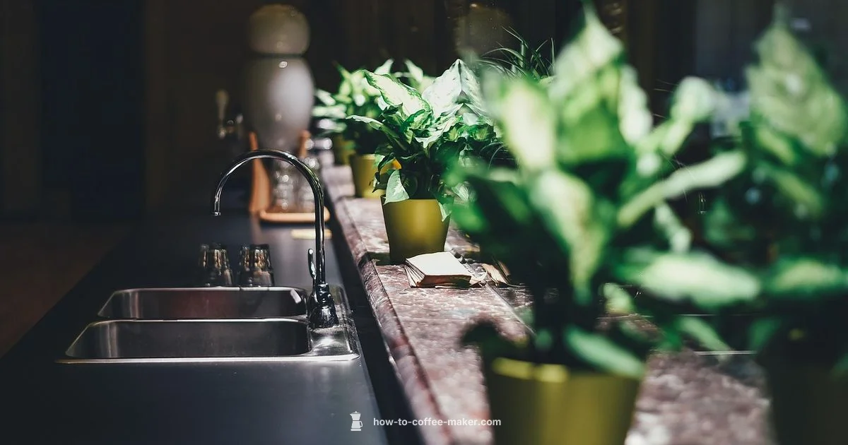 Filter Essentials - BrewGuide Pro