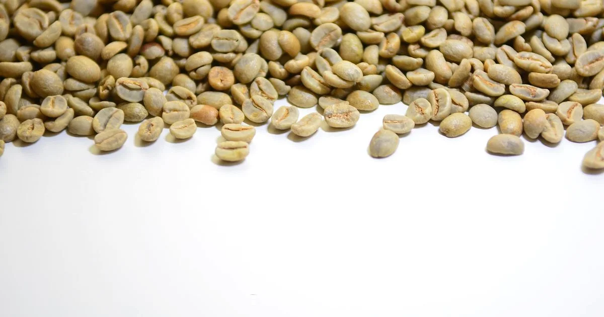 French Press Basics - BrewGuide Pro