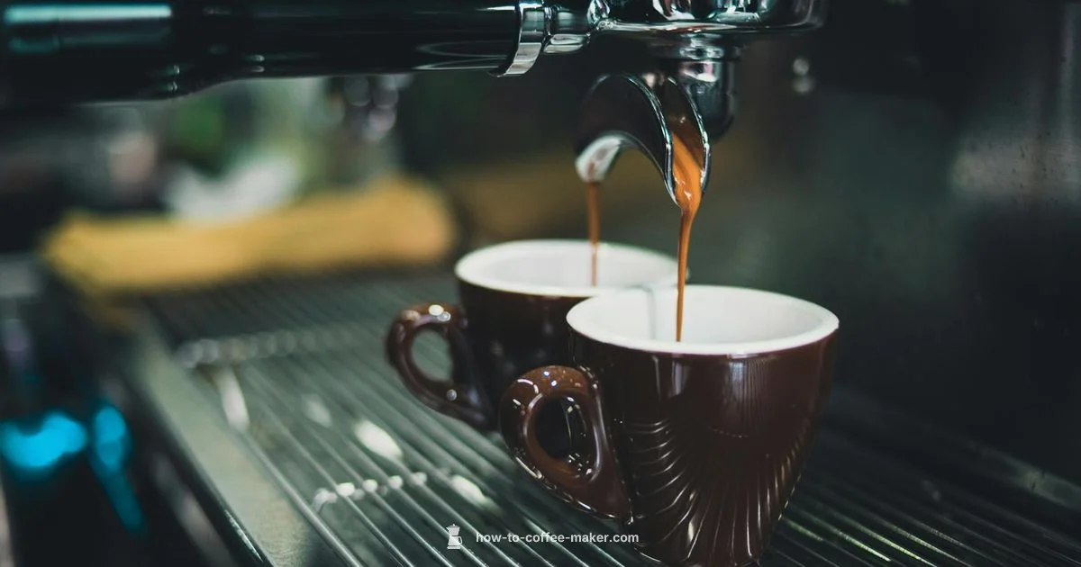 Descale Guide - BrewGuide Pro