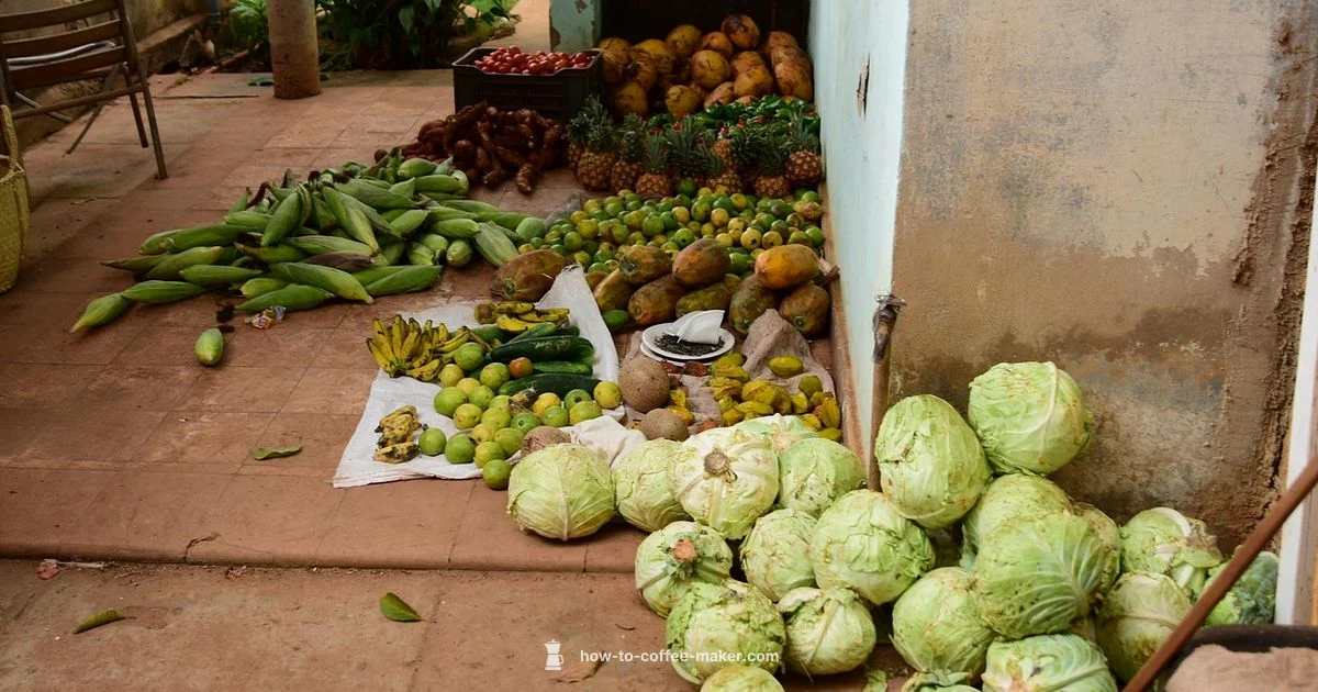 Cuban Coffee Maker Guide - BrewGuide Pro