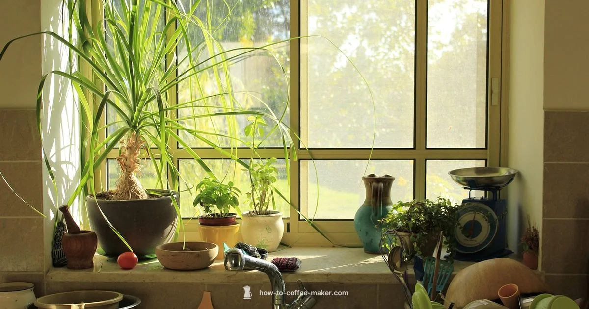 K-Duo Dual Brew - BrewGuide Pro