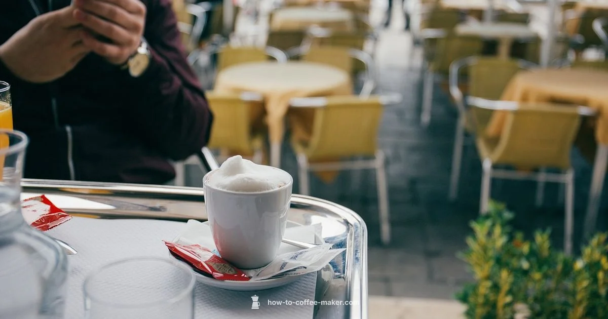 Milk Frothing Guide - BrewGuide Pro