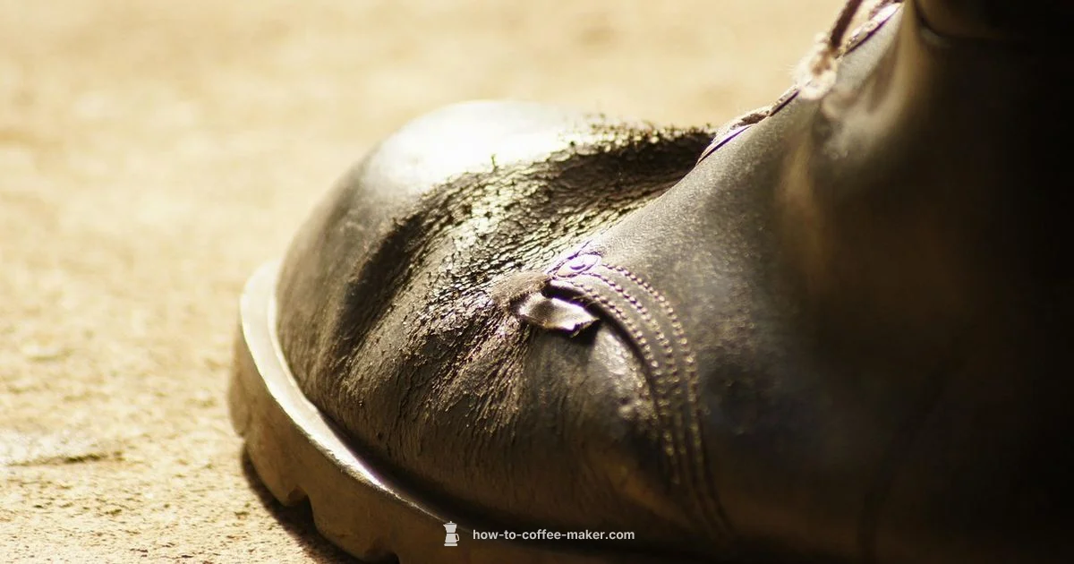 What Coffee Maker - BrewGuide Pro