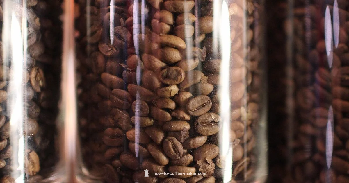 Bean to Cup Guide - BrewGuide Pro