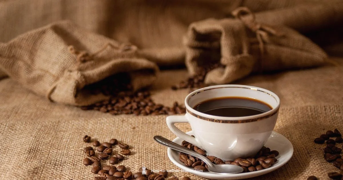 Large Capacity Brew - BrewGuide Pro