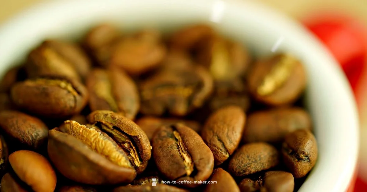 Best Bean-Cup Picks - BrewGuide Pro