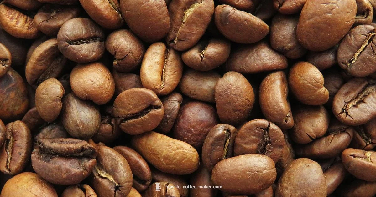 Brew Time Guide - BrewGuide Pro