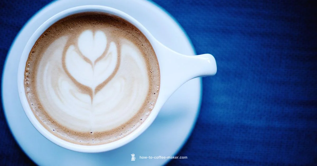 Nespresso Basics Guide - BrewGuide Pro