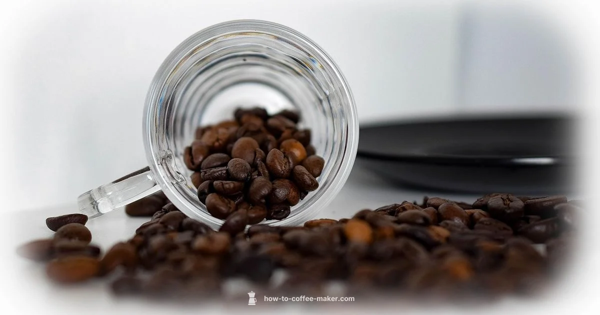 Clean Coffee Maker - BrewGuide Pro