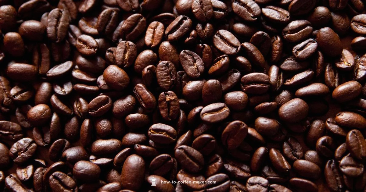 Coffee Phrase Spanish - BrewGuide Pro