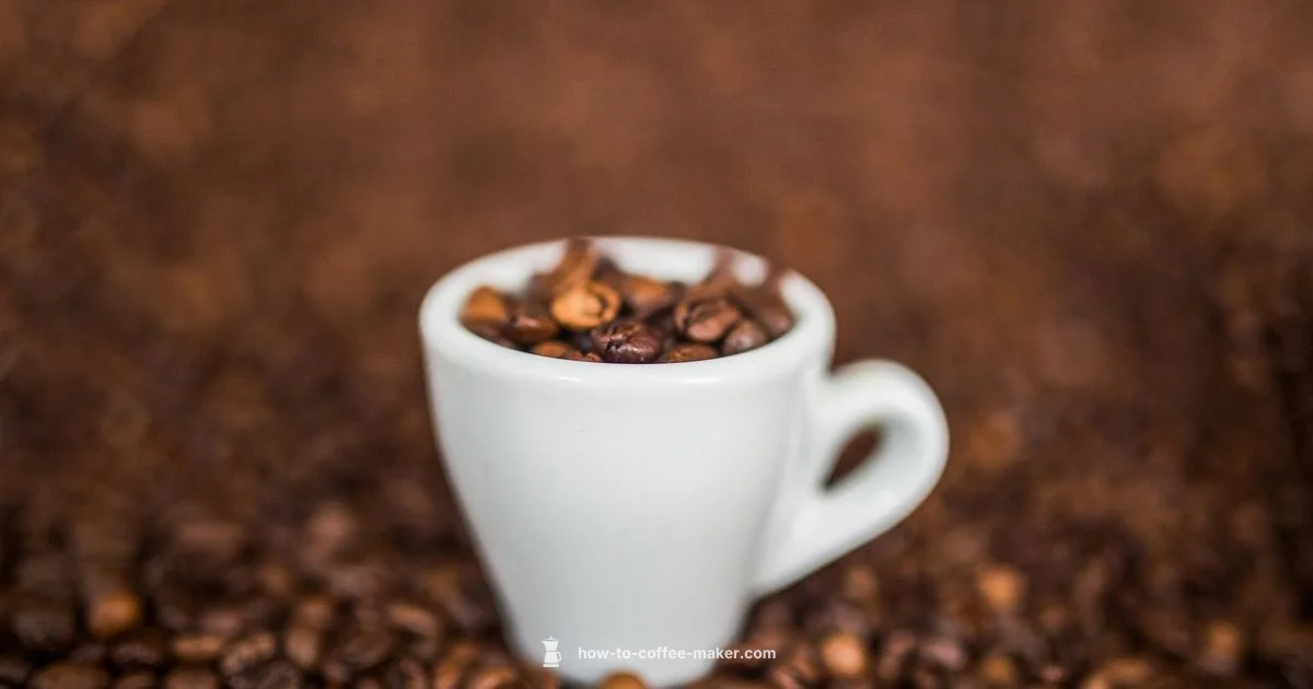 Industrial Espresso Setup - BrewGuide Pro