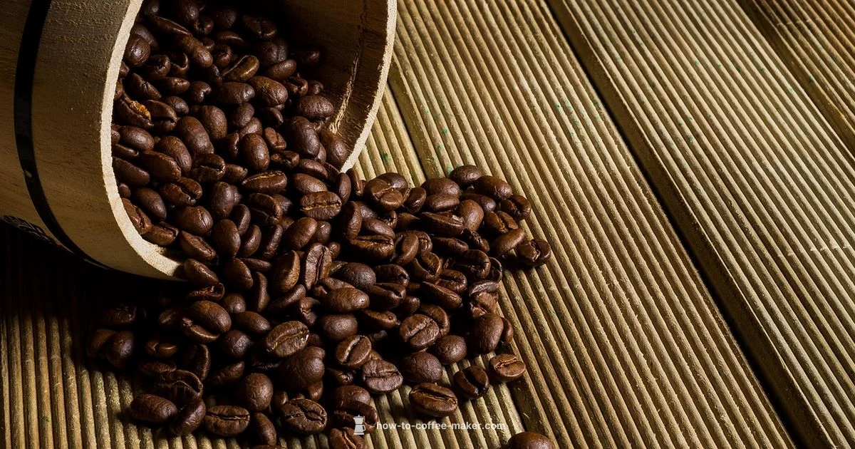 Grind & Brew Setup - BrewGuide Pro