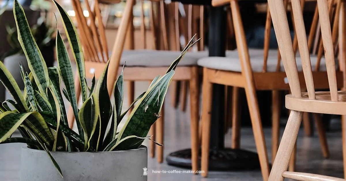 Chemex Review Highlights - BrewGuide Pro