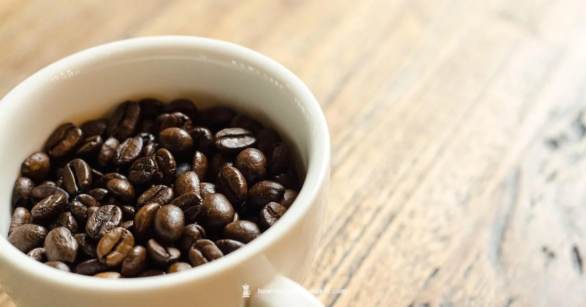 Aiden Drip Review - BrewGuide Pro