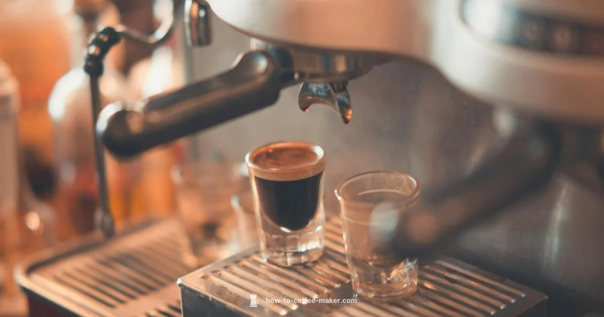 Pocket Espresso Perfection Pocket Espresso Perfection - BrewGuide Pro