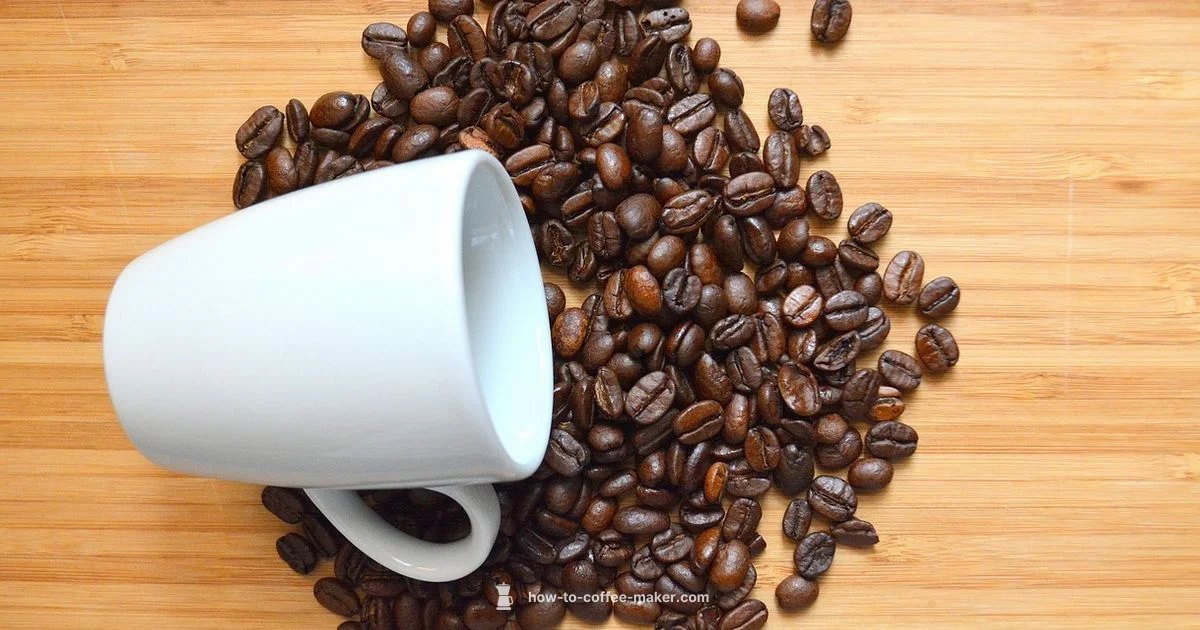 Commercial Coffee Machines - BrewGuide Pro