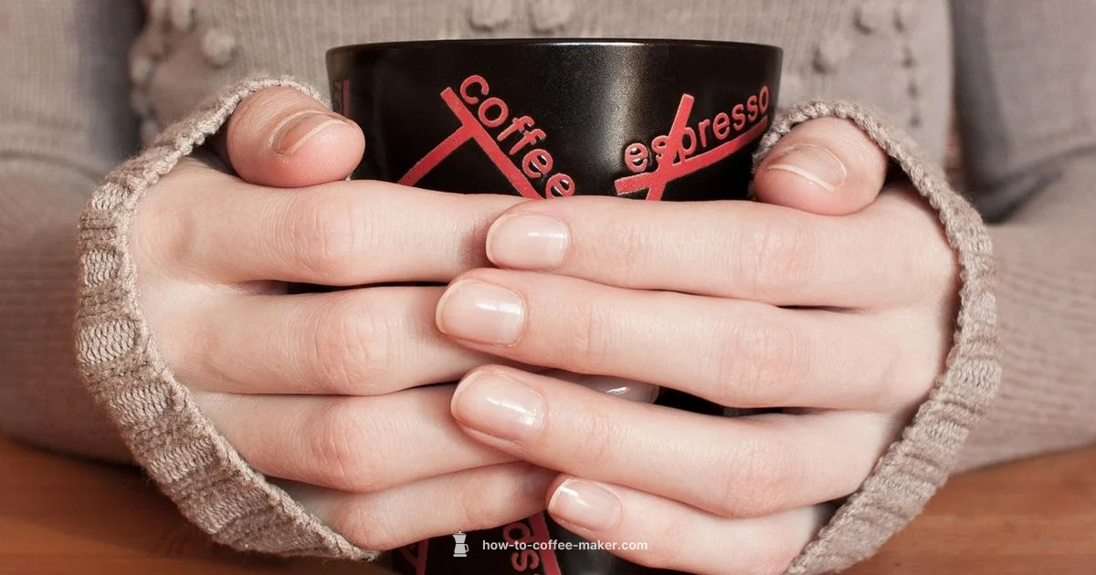 Best 5-Cup Picks 2026 - BrewGuide Pro