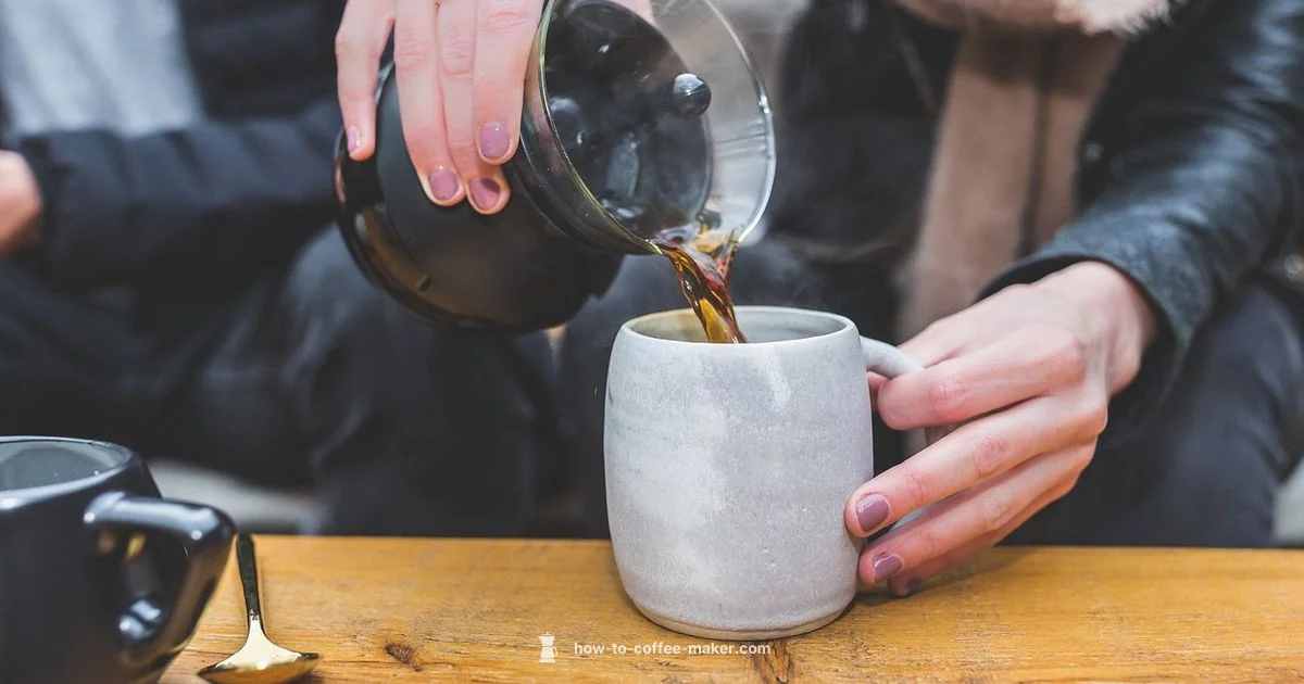 Agaro Review - BrewGuide Pro