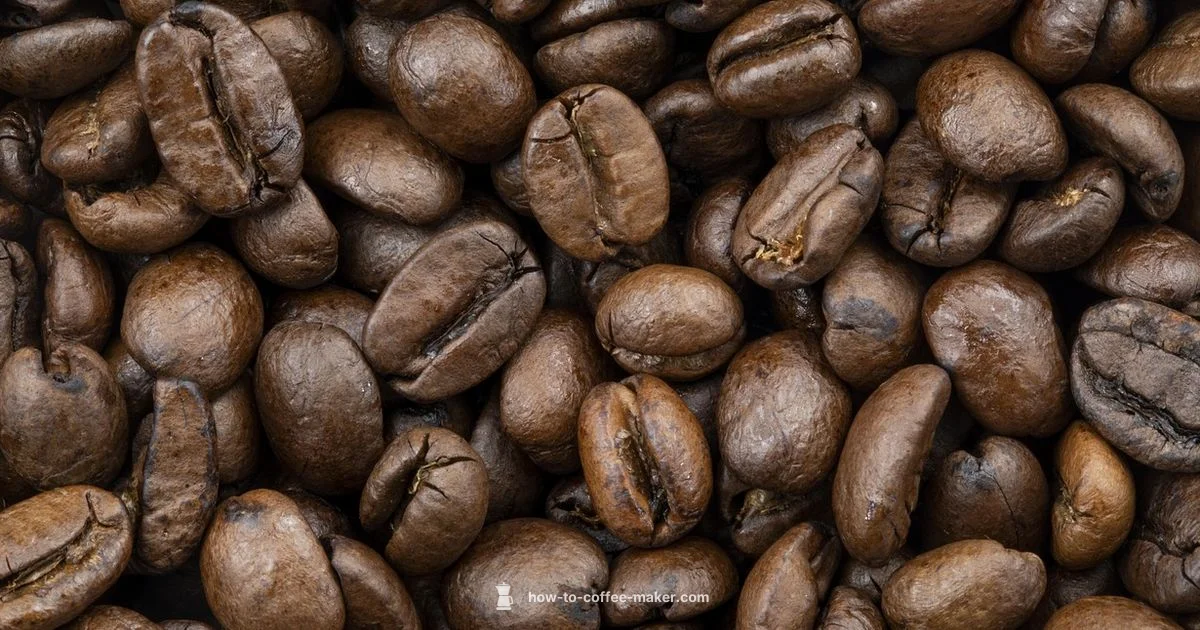 K Duo Review - BrewGuide Pro