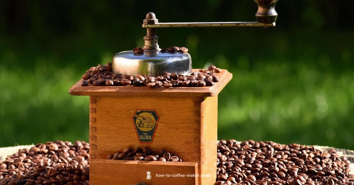 Grinder in Brewer - BrewGuide Pro