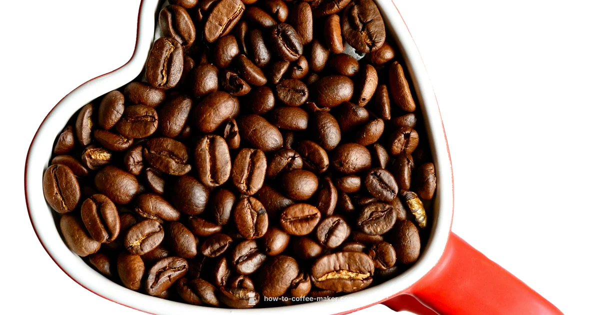 Built In Coffee Maker Built In Coffee Maker - BrewGuide Pro