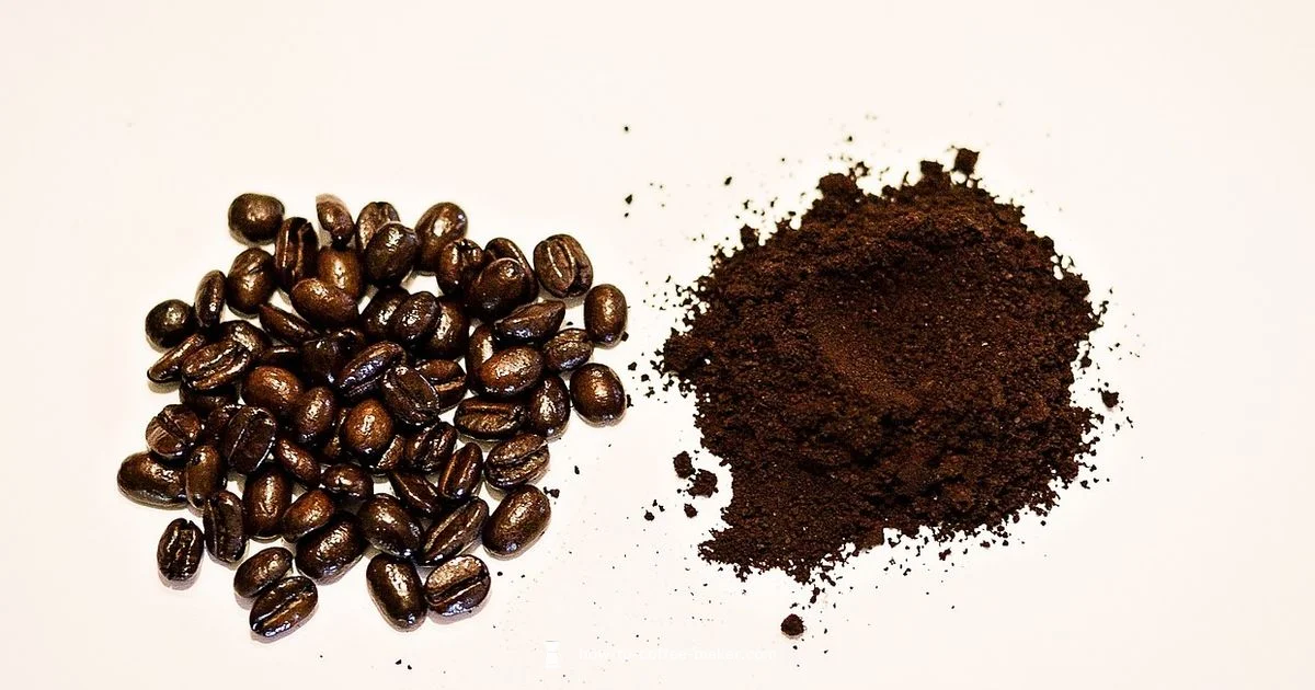 Grind & Brew Setup - BrewGuide Pro