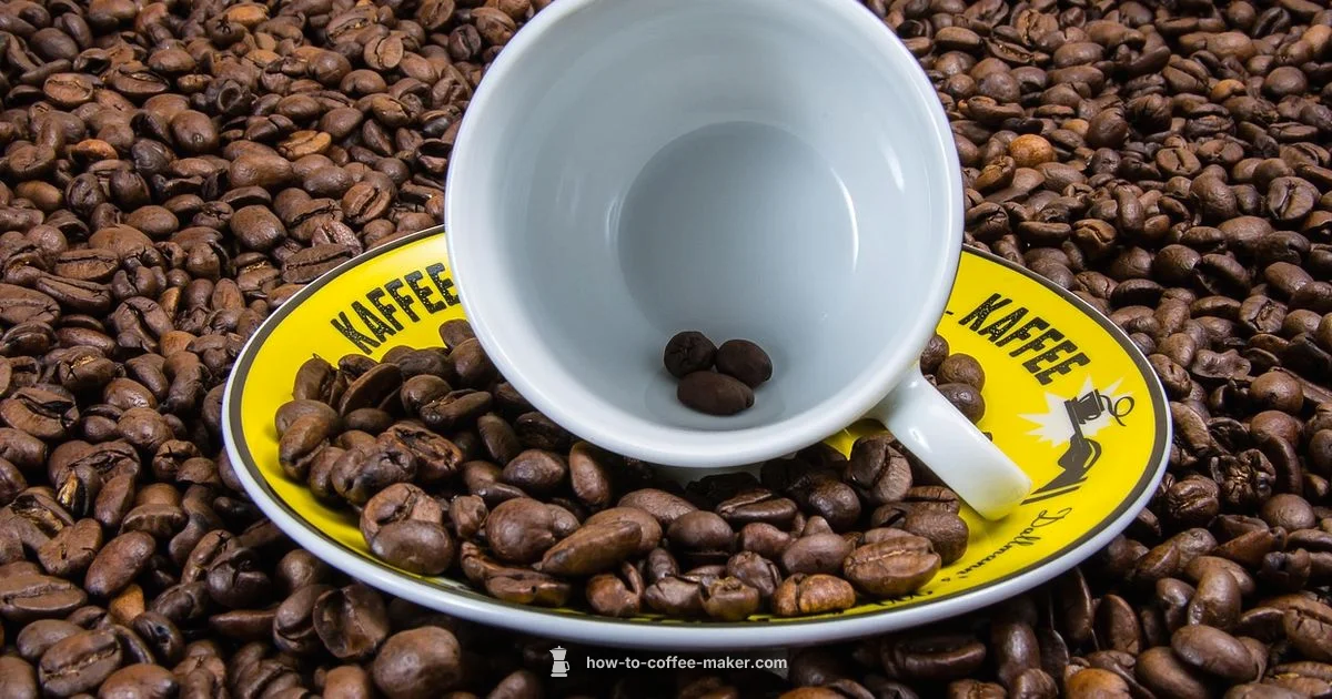 Classic Drip Brew - BrewGuide Pro