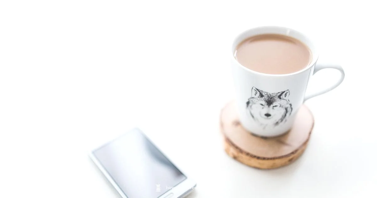 Sparkling Clean Brewer - BrewGuide Pro