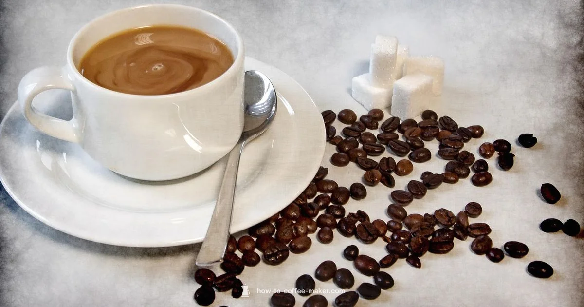 Coffee Machine Basics - BrewGuide Pro