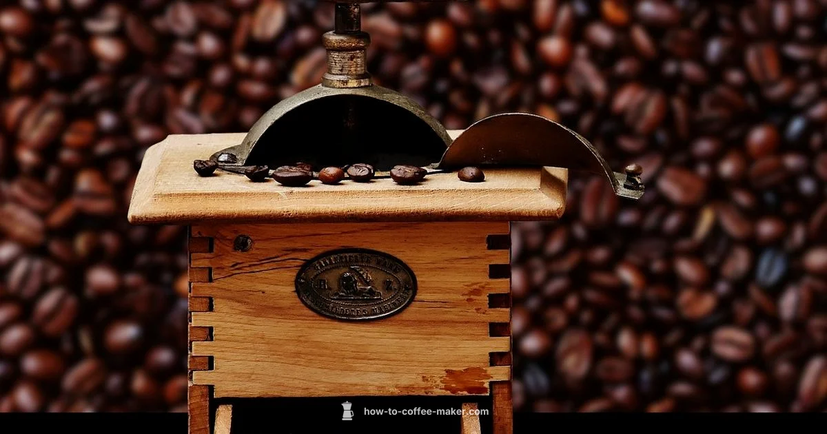 Top Auto Grinder - BrewGuide Pro